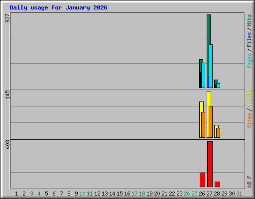 Daily usage for January 2026