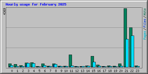 Hourly usage for February 2025