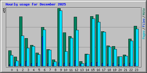 Hourly usage for December 2025
