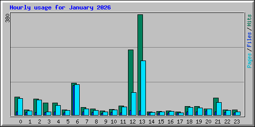 Hourly usage for January 2026
